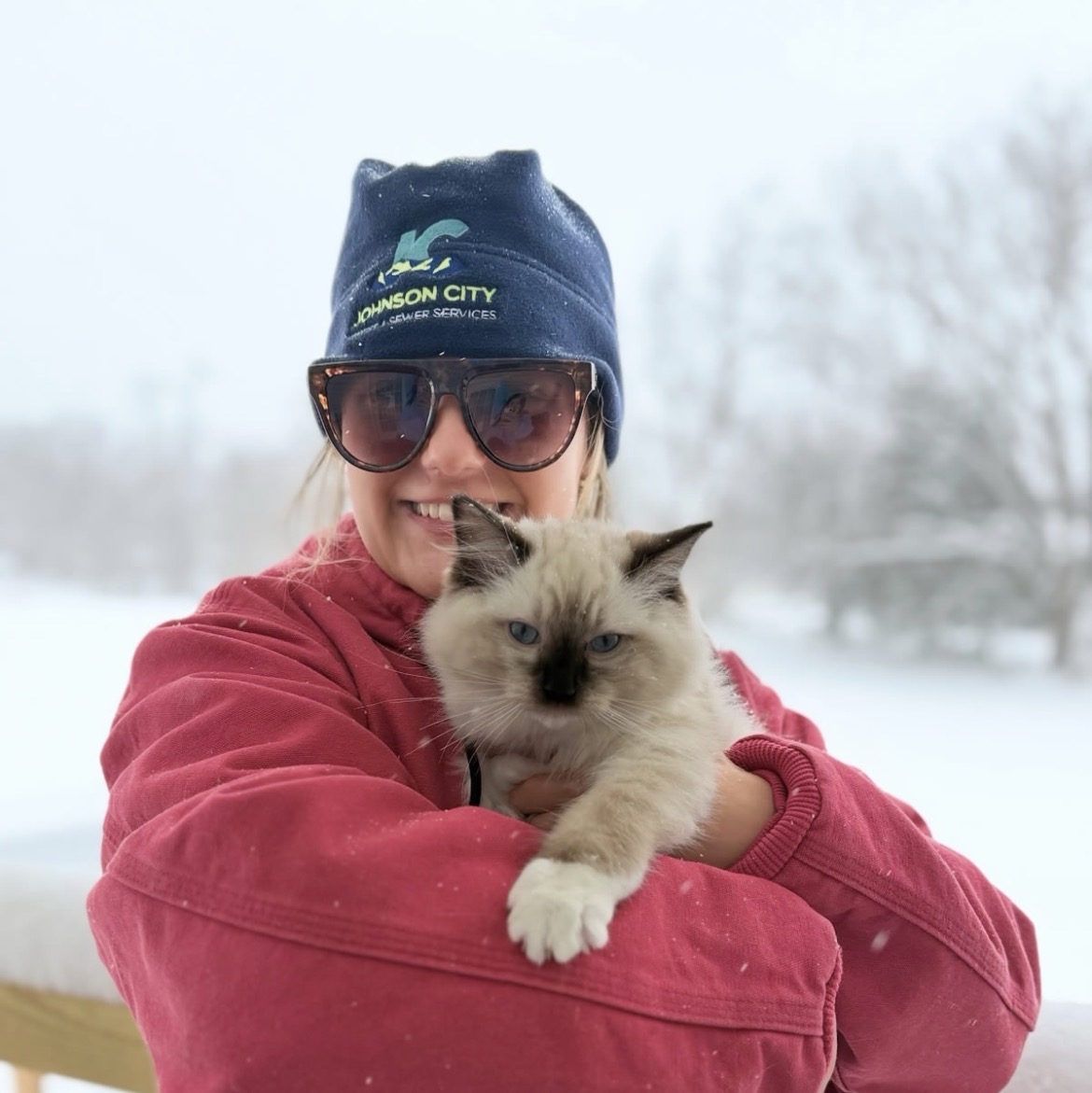 ragdollrehomingjourney