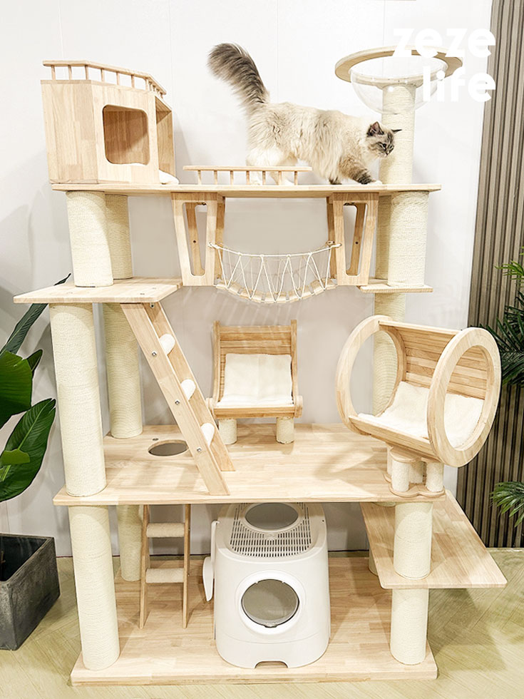 Best Cat Tree for Ragdoll Cats