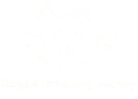 Ragdoll Rehoming Journey